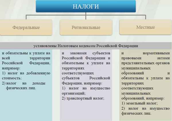 Земельный налог — региональный или местный вид платежей?