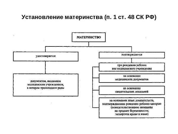 Установление материнства: понятие и порядок действий