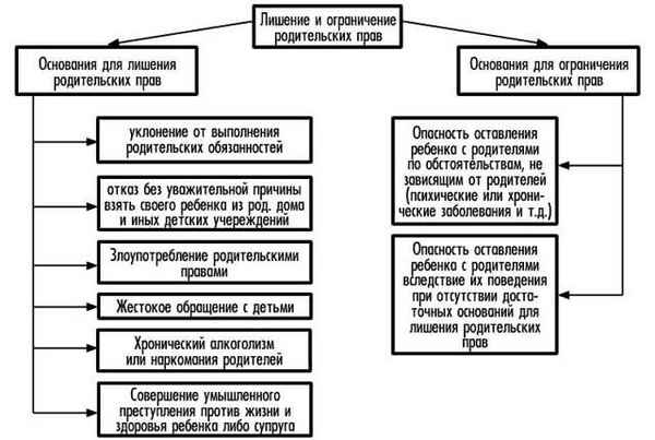 Как лишить мать родительских прав: основания, документы, последствия