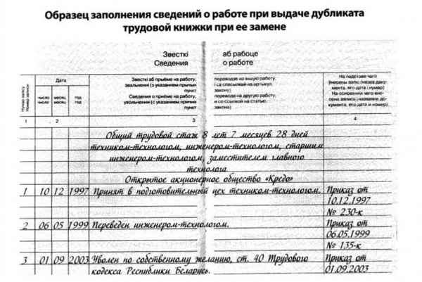Что такое дубликат трудовой книжки и как его правильно оформить? Порядок заполнения копии документа