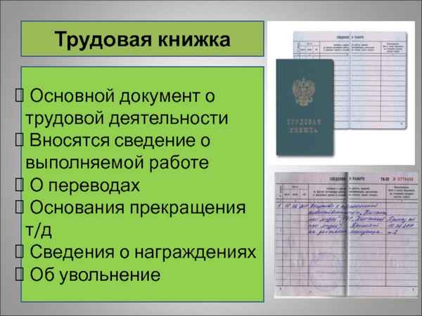 Бланк трудовой книжки: актуальный образец документа учета трудовой деятельности граждан в 2019 году