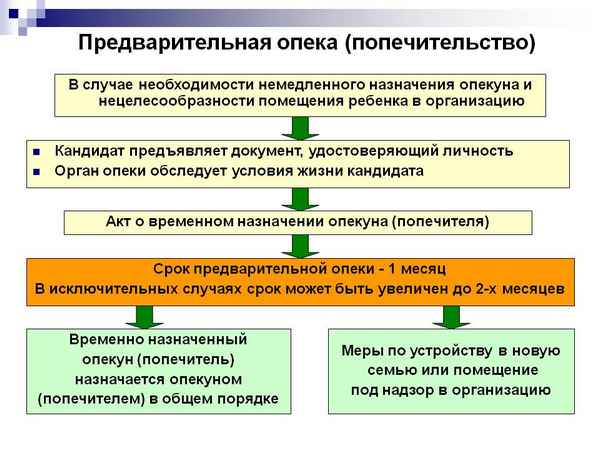 Временная опека над несовершеннолетним ребенком: когда необходима? Пошаговая процеДypa оформления