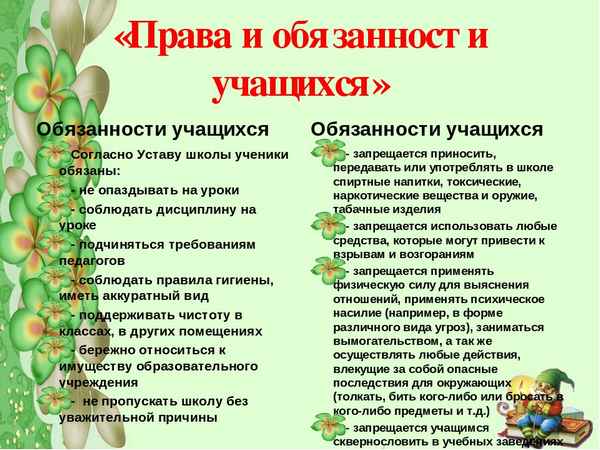 Права и обязанности ребенка в школе и их защита. Правила поведения на уроке