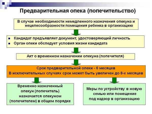 Что такое предварительная опека над несовершеннолетним? Порядок оформления, документы, сроки, выплаты
