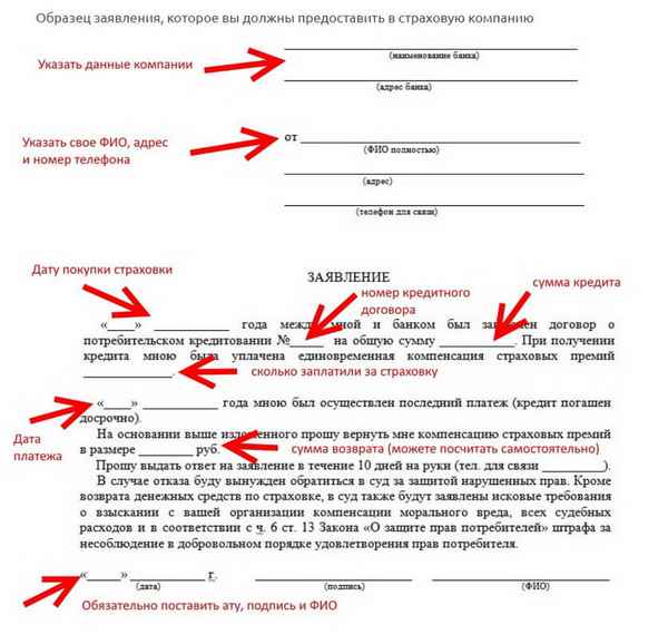 Как вернуть страховку по кредиту в Сбербанке? Условия возврата, образец заявления и сроки его рассмотрения