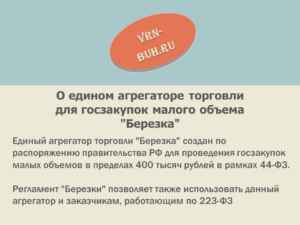 Единый агрегатор торговли для госзакупок малого объема "Березка": официальный сайт, регламент функционирования, регистрация на ЕАТ