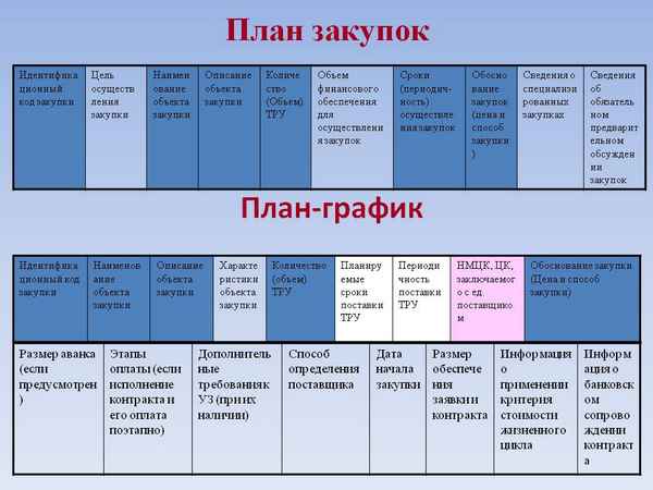 Формирование плана закупок по 223-ФЗ: образец составления документа, сроки размещения и порядок внесения изменений