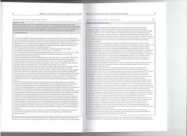 Жалоба в Европейский суд по правам человека: образец составления и порядок подачи в ЕСПЧ