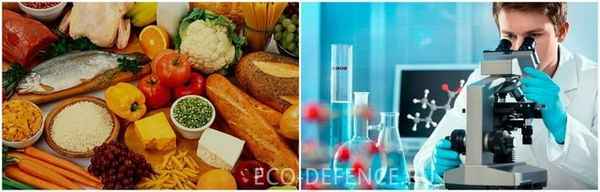 Проверка продуктов питания на качество в Роспотребнадзоре: основания и порядок проведения