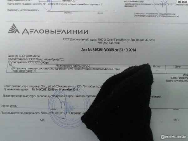 Деловые линии: составление претензии, образец бланка, порядок и сроки подачи