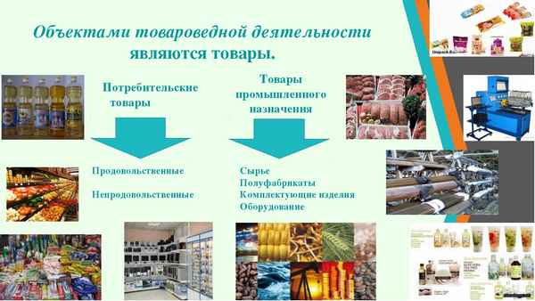 Товароведение и экспертиза качества потребительских товаров: понятие и особенности специальности