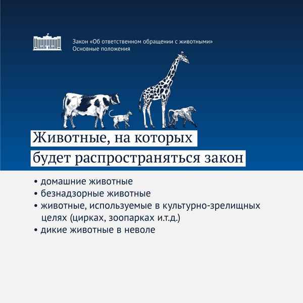 Федеральный закон об ответственном обращении с животными на 2019 год