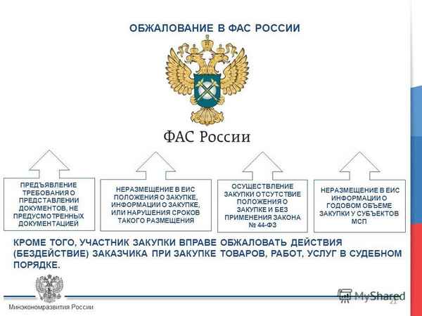 Жалоба в ФАС на действия заказчика по 44-ФЗ и 223-ФЗ: образец заявления, срок подачи, регламент рассмотрения