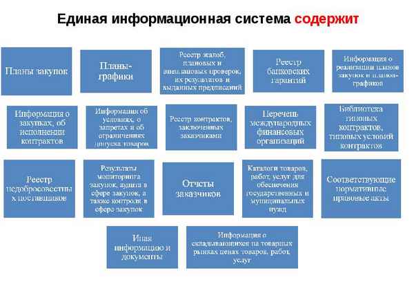 Региональная информационная система в сфере закупок: понятие, основное назначение, алгоритм подключения