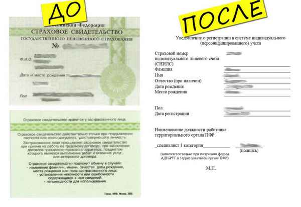 Отмена карточек СНИЛС в России в 2019 году: теперь все данные будут храниться в электронном виде