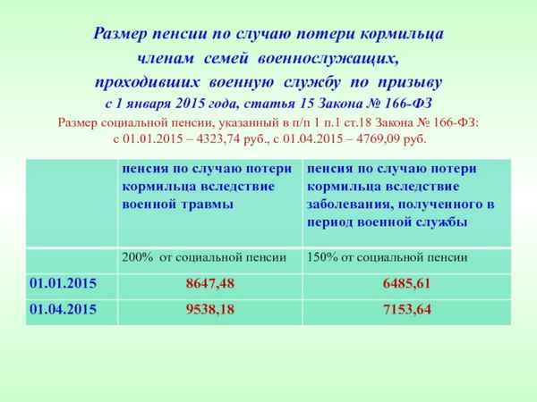 Пенсия по потере кормильца в 2019 году: лица, имеющие право на получение, виды выплат и их формирование, индексация и размеры сумм