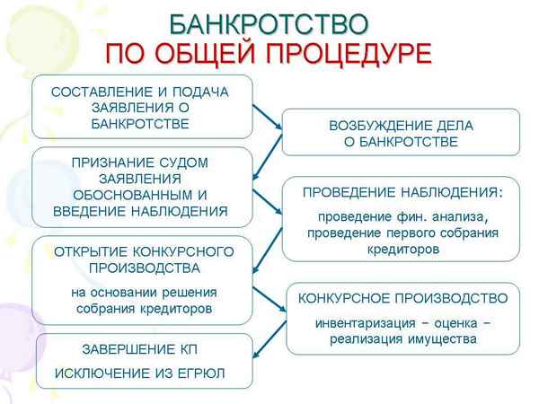Банкротство физлица, если нет имущества: как проходит процеДypa? Особенности, этапы, сроки исполнения и последствия