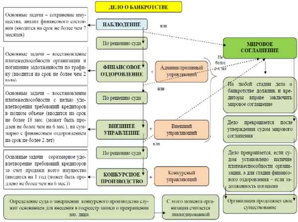 Отчет конкурсного управляющего о ходе процедуры банкротства: образец формы, структура и содержание