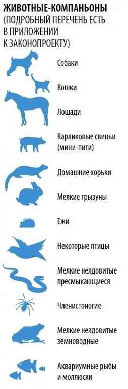 Список запрещенных к содержанию в домашних условиях животных в России в 2019 году