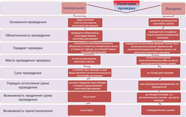 Налоговая проверка при ликвидации ООО: выездная и камеральная, порядок и сроки проведения