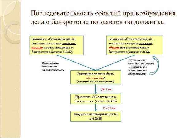 Возбуждение дела о банкротстве: основания и порядок процедуры, дата подачи заявления