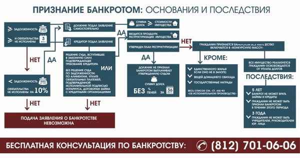 Банкротство СНТ: причины, порядок процедуры, последствия для собственников
