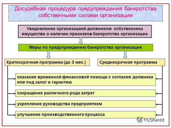Объективное банкротство: понятие и его признаки в осуществлении финансовой деятельности юридического лица