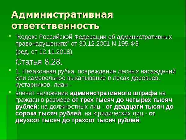 Незаконная вырубка деревьев: ответственность по КоАП РФ и УК РФ, размеры штрафов