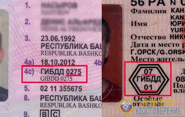 Как узнать номер старых водительских прав 