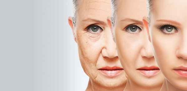 Средства омоложения кожи лица: домашний уход| 