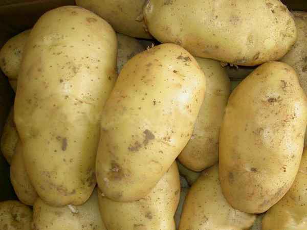 Сонник: к чему снится картошка (картофель)? 