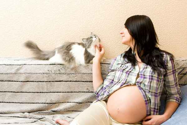 Токсоплазмоз при беременности — симптомы и лечение 
