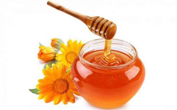 Полезные свойства мёда: главные секреты мёда 