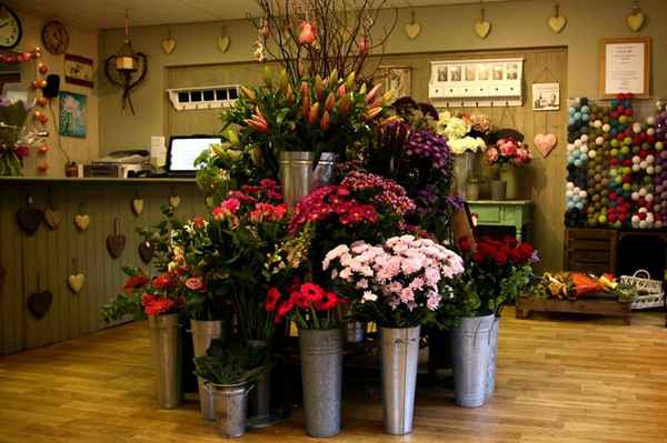 Как открыть цветочный бизнес 