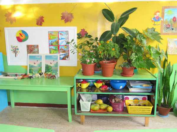 Оформление детских уголков в детском саду: уголок природы, живой уголок| 