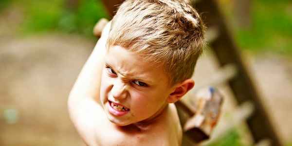 Чем вызвана детская агрессия и способы борьбы с этой проблемой 