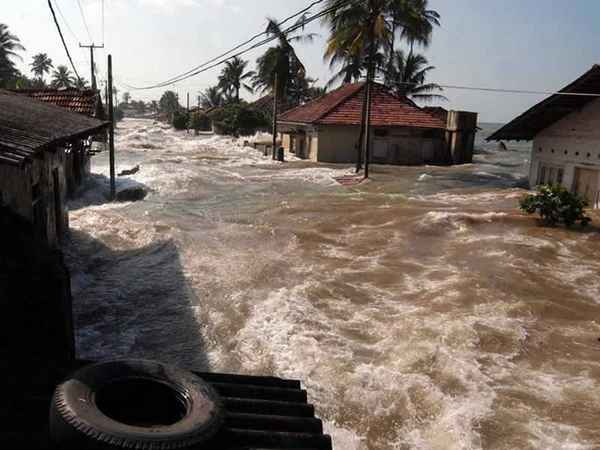 Сонник: к чему снится наводнение, цунами? 