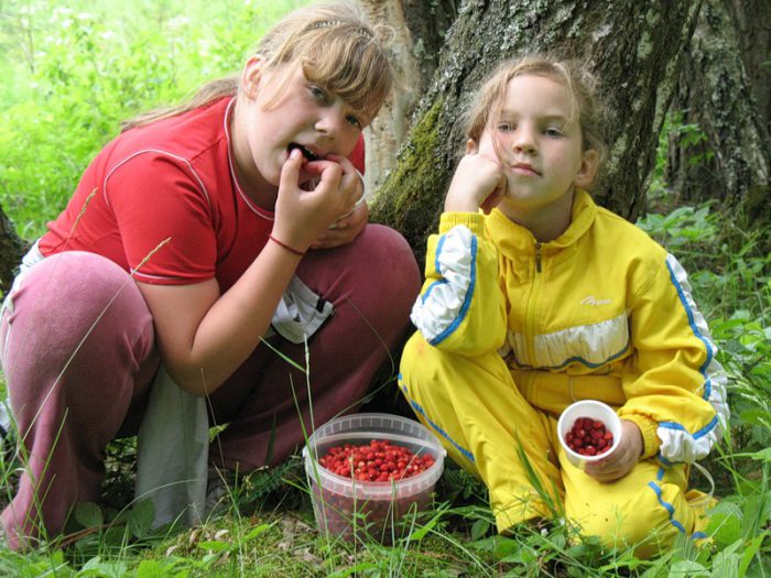 Дети летом: отравление ребёнка ядовитыми растениями и ягодами 