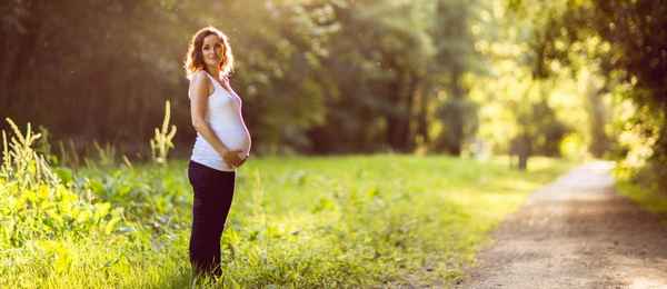 Беременность от зачатия до родов