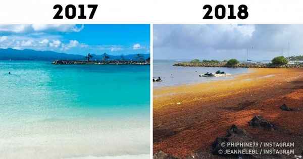 7 доказательств того, что происходящее с пляжами по всему миру