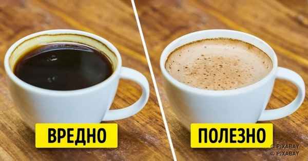 7 фактов, которые должны знать все, кто не может жить без кофе