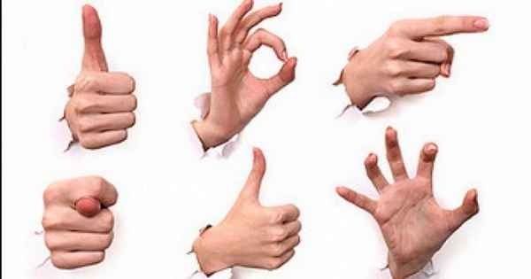 Как общаться на языке жестов и не облажаться