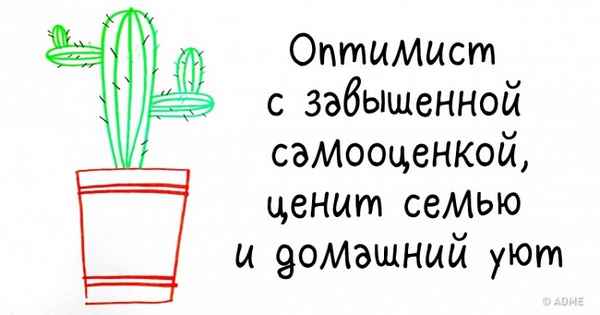 Тест: Нарисуйте кактус, и вы удивитесь тому, как точно мы опишем ваш хаpaктер
