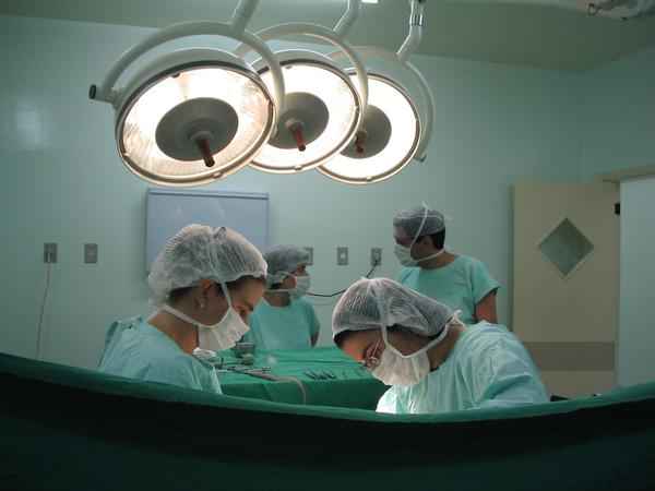 Жизнь останется: размышления о трансплантологии
