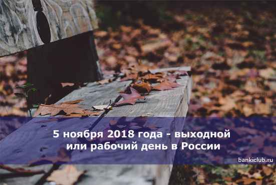 5 ноября 2020 года - выходной или рабочий день в России