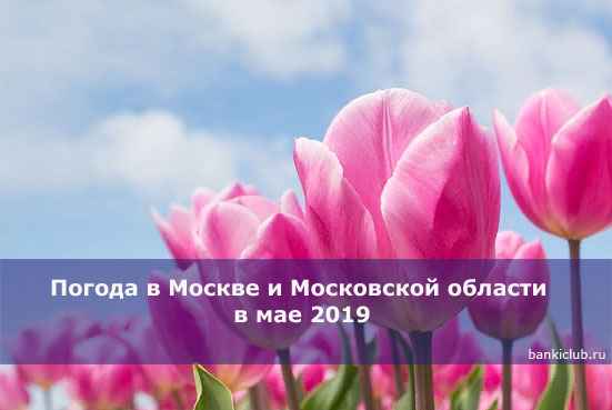 Погода в Москве и Московской области в мае 2020